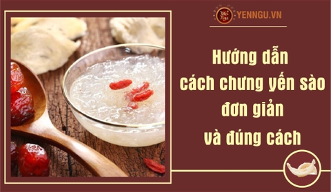 Hướng dẫn cách chưng yến sào đơn giản và đúng cách 