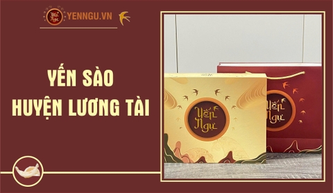 Yến Sào Huyện Lương Tài