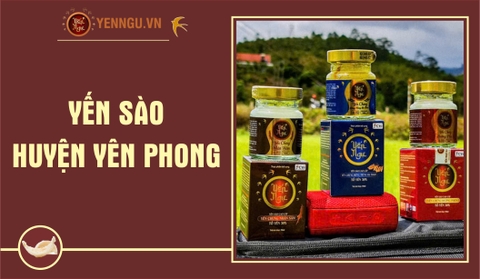 Yến Sào Huyện Yên Phong