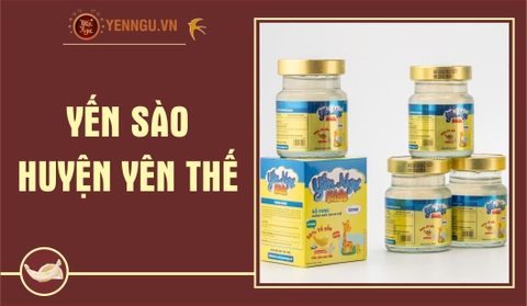 Yến Sào Huyện Yên Thế