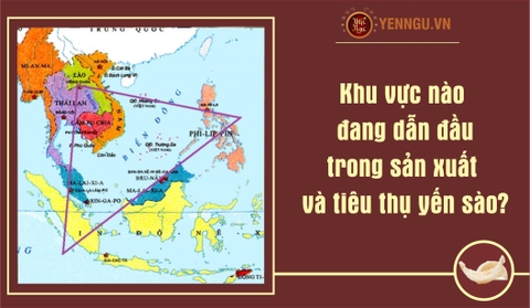 Khu vực nào đang dẫn đầu trong sản xuất và tiêu thụ yến sào?