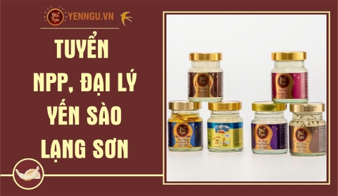 Yến Sào Lạng Sơn
