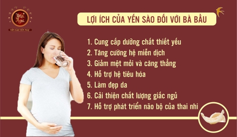 Lợi ích của yến sào đối với bà bầu
