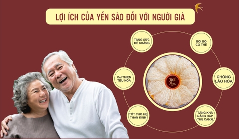 Lợi ích của yến sào đối với người già