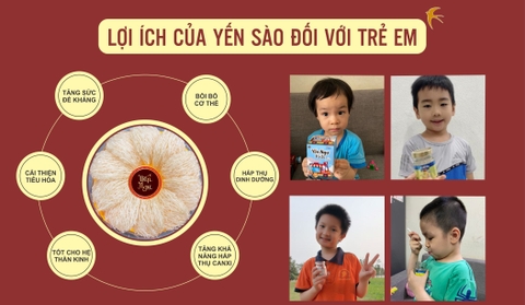 Lợi ích của yến sào đối với trẻ em