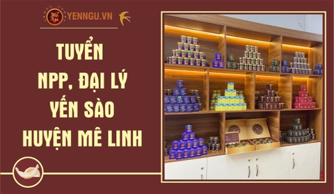 Yến Sào Huyện Mê Linh
