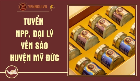 Yến Sào Huyện Mỹ Đức