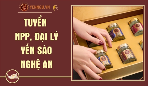 Yến Sào Nghệ An