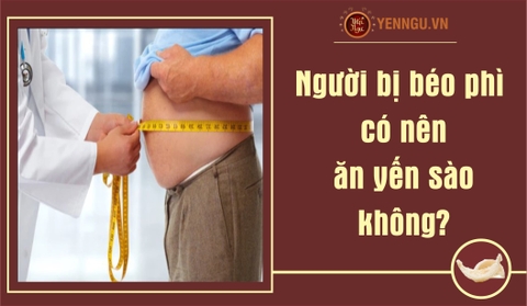Người bị béo phì có nên ăn yến sào không?