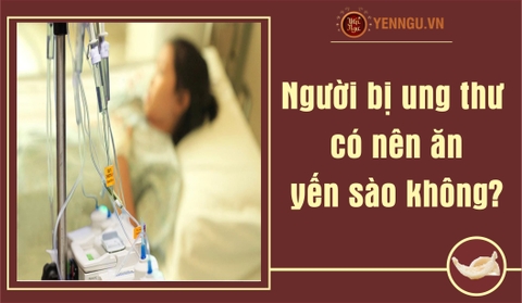 Người bị ung thư có nên ăn yến sào không?