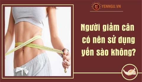 Người giảm cân có nên sử dụng yến sào?