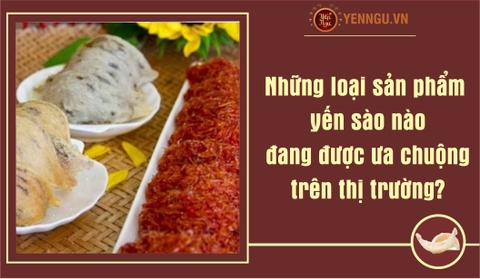 Những loại sản phẩm yến sào nào đang được ưa chuộng trên thị trường?