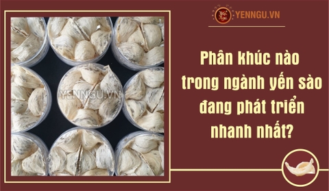 Phân khúc nào trong ngành yến sào đang phát triển nhanh nhất?