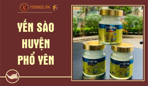 Yến Sào Huyện Phổ Yên