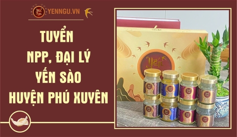 Yến Sào Huyện Phú Xuyên