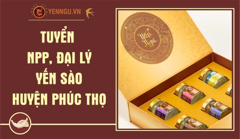 Yến Sào Huyện Phúc Thọ