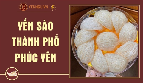 Yến Sào Thành Phố Phúc Yên