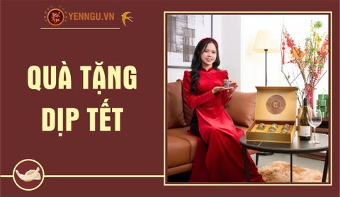 Quà Tết Yến Sào 2025 - Lời Chúc Sức Khỏe Ý Nghĩa