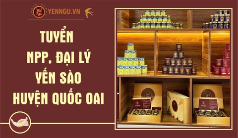 Yến Sào Huyện Quốc Oai