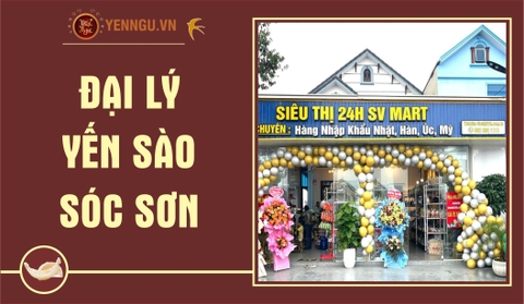 Yến Sào Huyện Sóc Sơn Hà Nội