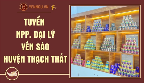 Yến Sào Huyện Thạch Thất