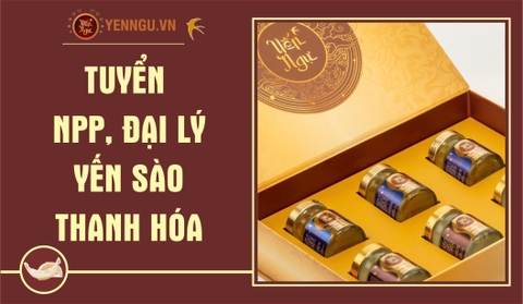 Yến Sào Thanh Hóa