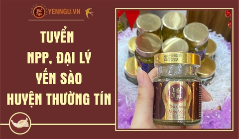 Yến Sào Huyện Thường Tín