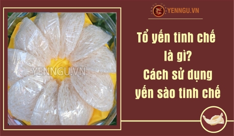 Tổ yến tinh chế là gì? Cách sử dụng yến sào tinh chế