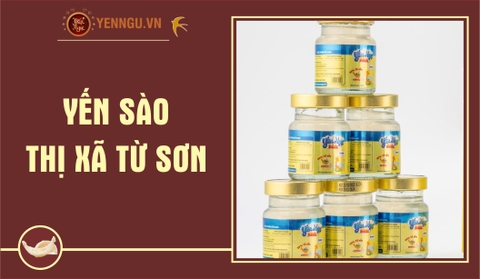 Yến Sào Thị Xã Từ Sơn