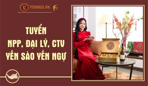 Tuyển CTV, NPP, Đại Lý Yến Sào Yến Ngự