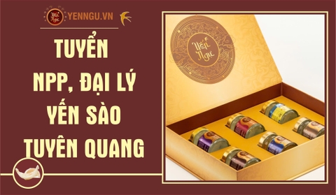 Yến Sào Tuyên Quang