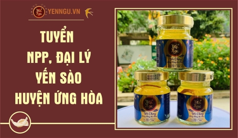 Yến Sào Huyện Ứng Hòa