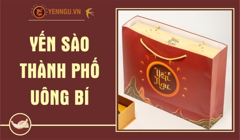 Yến Sào Thành Phố Uông Bí
