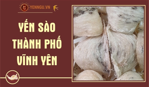 Yến Sào Thành Phố Vĩnh Yên