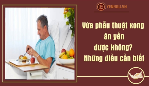 Vừa phẫu thuật xong ăn yến được không? Những điều cần biết