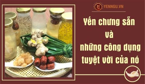 Yến chưng sẵn và những công dụng tuyệt vời của nó