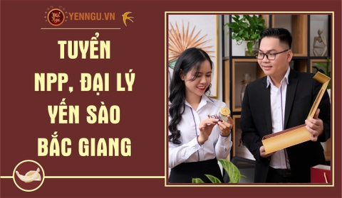 Yến Sào Bắc Giang
