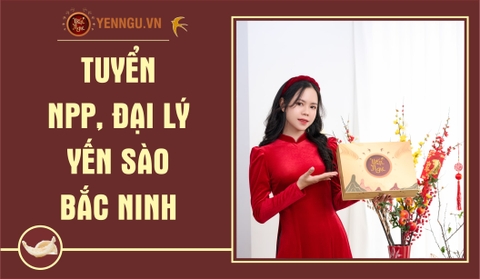 Yến Sào Bắc Ninh