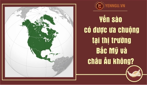 Yến sào có được ưa chuộng tại thị trường Bắc Mỹ và châu Âu không?