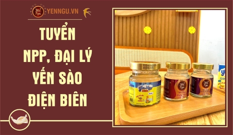 Yến Sào Điện Biên