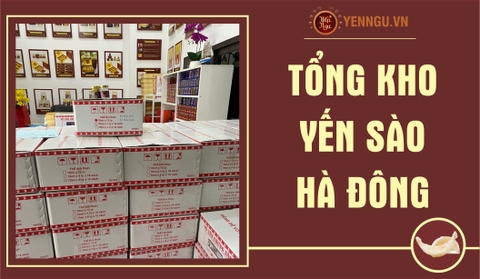 Yến sào Hà Đông