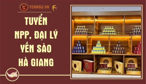 Yến Sào Hà Giang