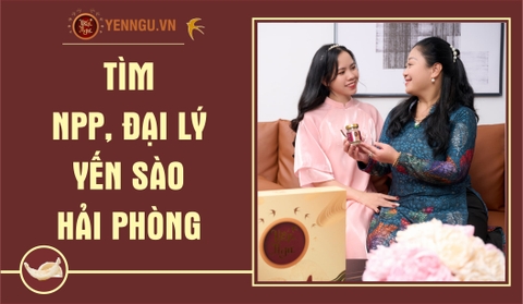 Yến Sào Hải Phòng