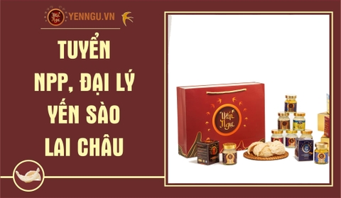 Yến Sào Lai Châu