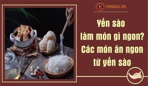 Yến sào làm món gì ngon? Các món ăn ngon từ yến sào