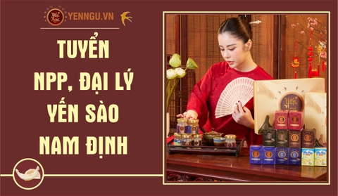 Yến Sào Nam Định