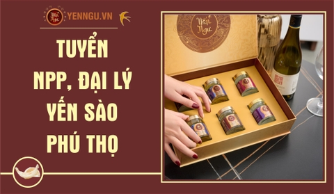 Yến Sào Phú Thọ
