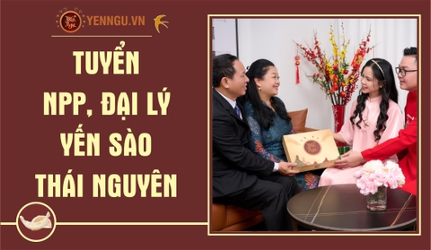 Yến Sào Thái Nguyên