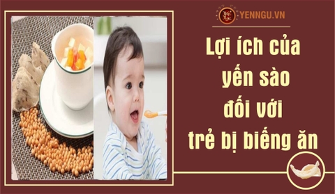 Yến Sào kích thích ăn ngon cho trẻ biếng ăn