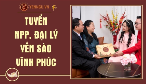 Yến Sào Vĩnh Phúc